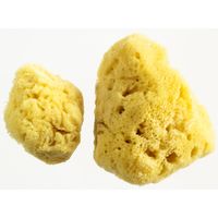 Woman-Kind Menstrual Sponges Pack of 2 (Medium & Large)